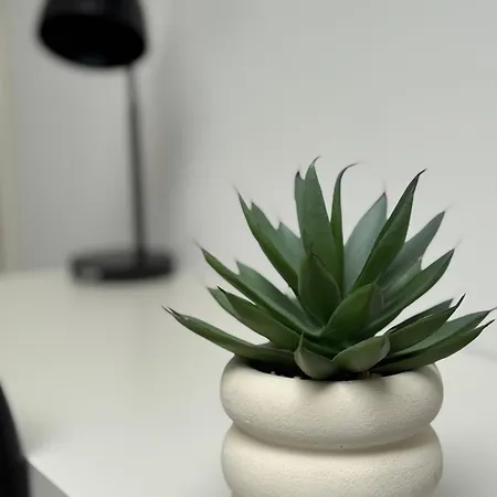 Skylight Kastel Wiesbaden