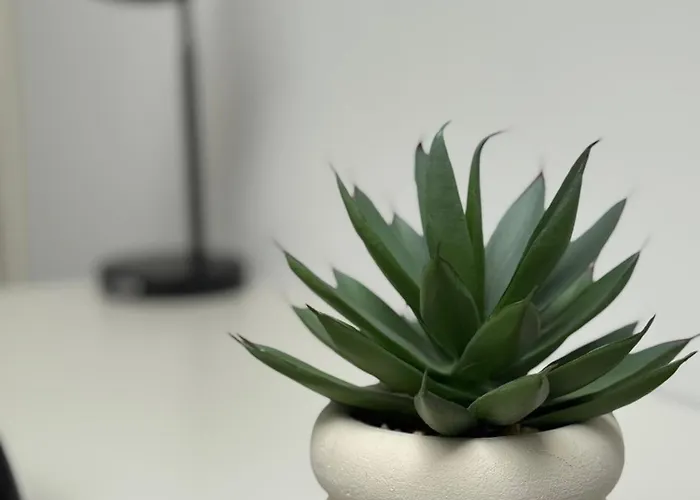 Skylight Kastel Wiesbaden