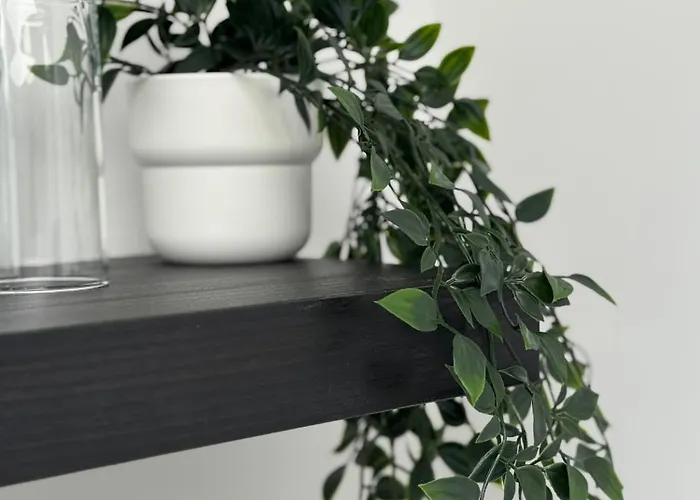 Skylight Kastel Wiesbaden